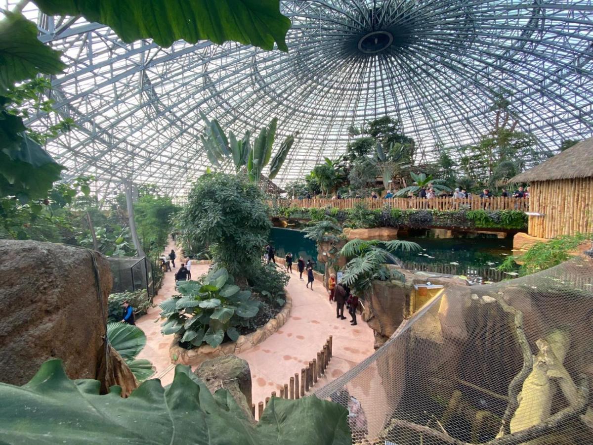 La Casa D'Olianna - Jolie Maison / Jeux / Grand Jardin Villeny Екстер'єр фото